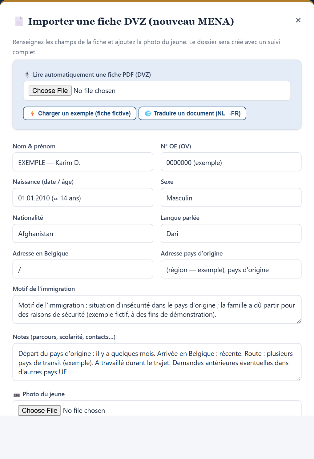 Fenêtre d'import de la fiche DVZ