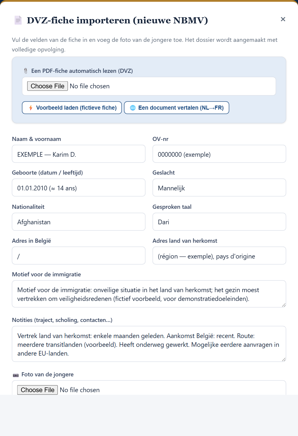 Importvenster DVZ-fiche
